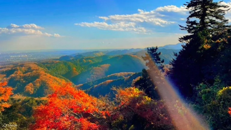 Explore Tokyo and Hike Mt. Takao: Seasonal Views Await!