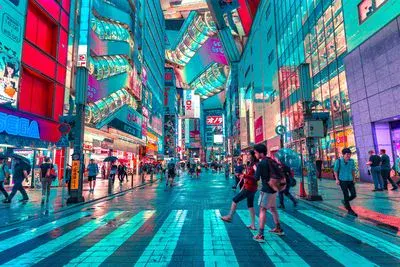 Private Tokyo City Tour: Customize Your Day with an English-Speaking Driver
