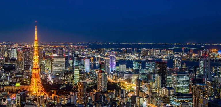 Tokyo Private Car Tour: Explore Japan's Capital in Comfort