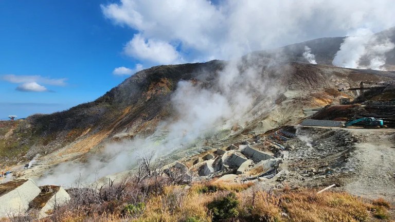 Discover Hakone: Private Customizable Day Trip from Tokyo