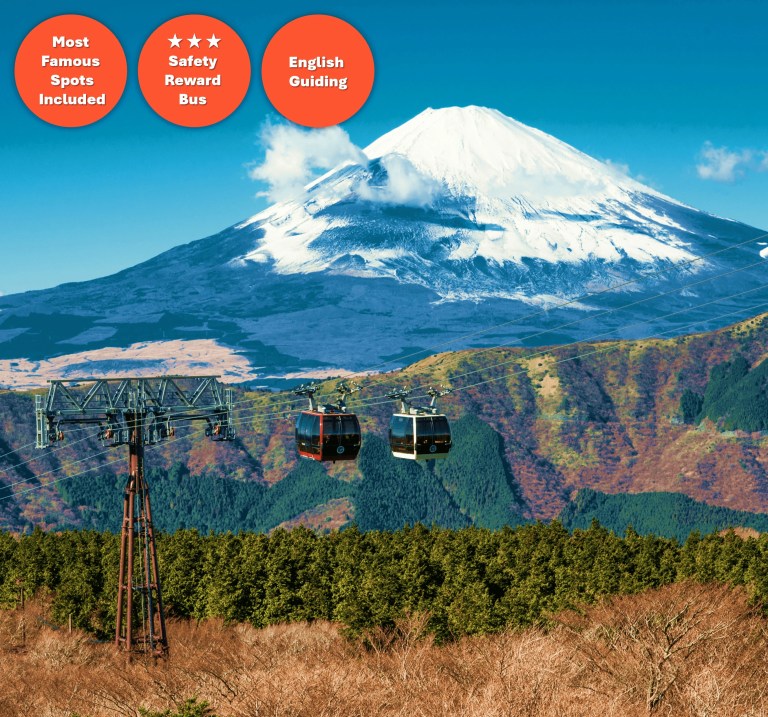 Discover Hakone & Mt. Fuji: Cruise, Cable Car & Volcanic Valley Day Tour from Tokyo