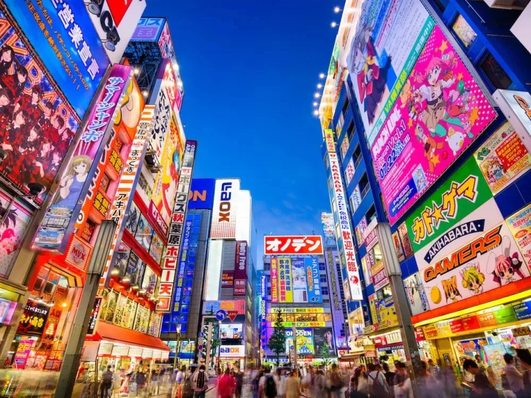 Discover Tokyo: Private Day Tour with Hotel Pick-up & Drop-off
