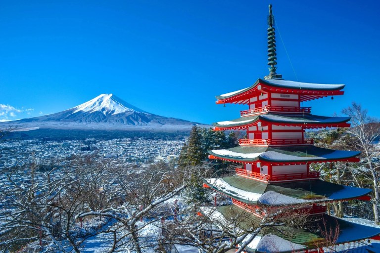 Discover Majestic Mt. Fuji: Private Customizable Day Tour from Tokyo