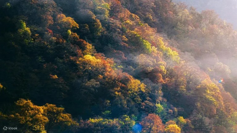 Explore Nikko's Beauty: Private Day Trip from Tokyo
