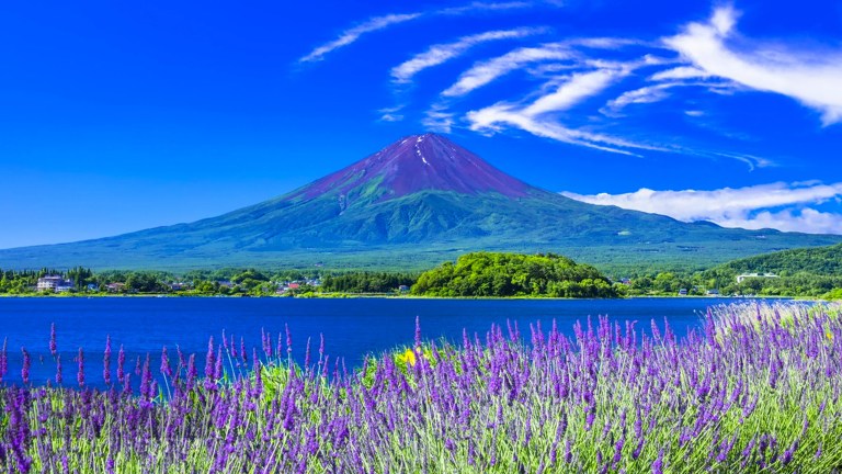 Mount Fuji Instagram Tour: Capture the Best Photo Spots! (From Tokyo)