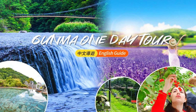 Gunma: Flower Viewing, Onsen, Snow Play & Fruit Picking Tour