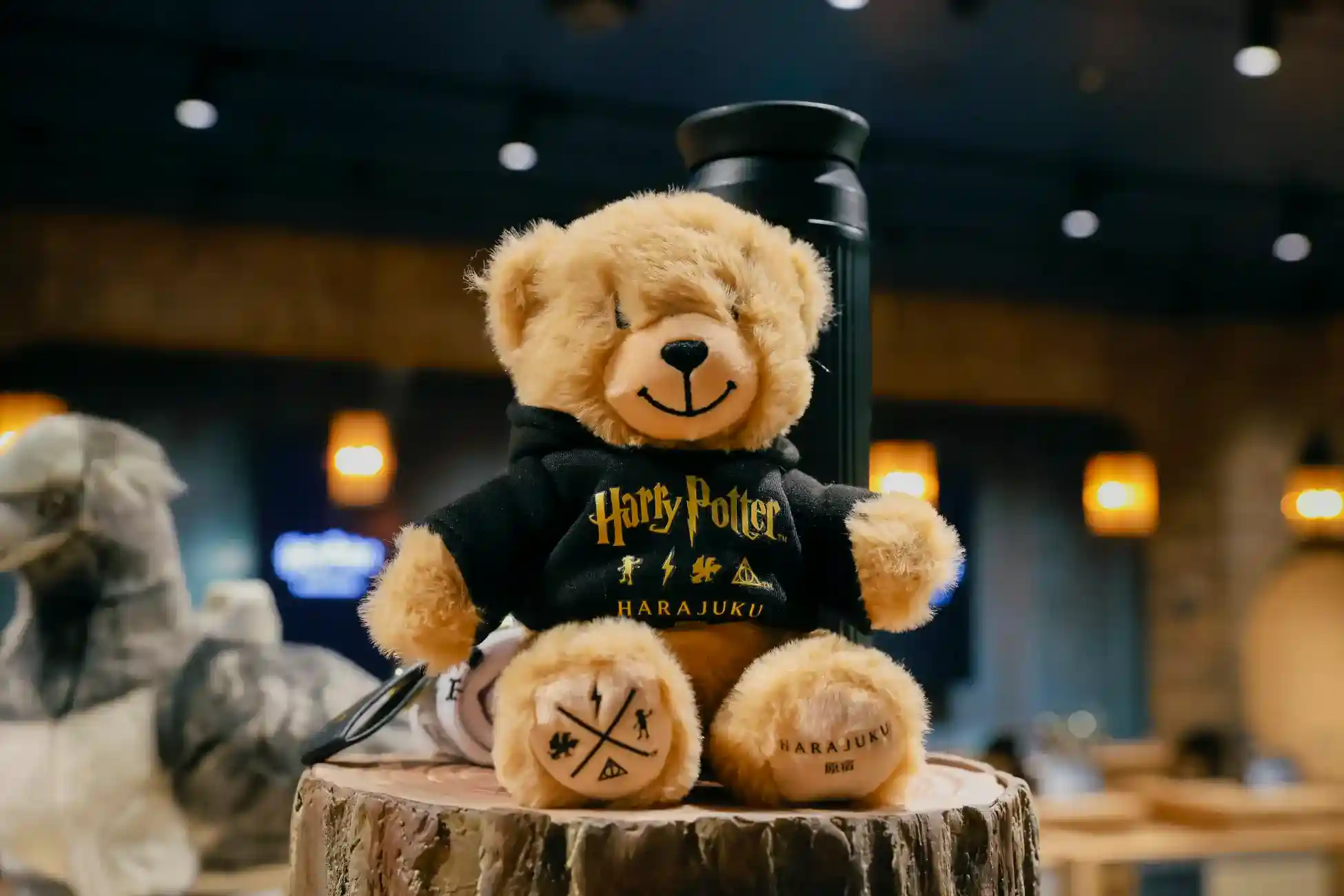 Harry Potter Shop Harajuku 15