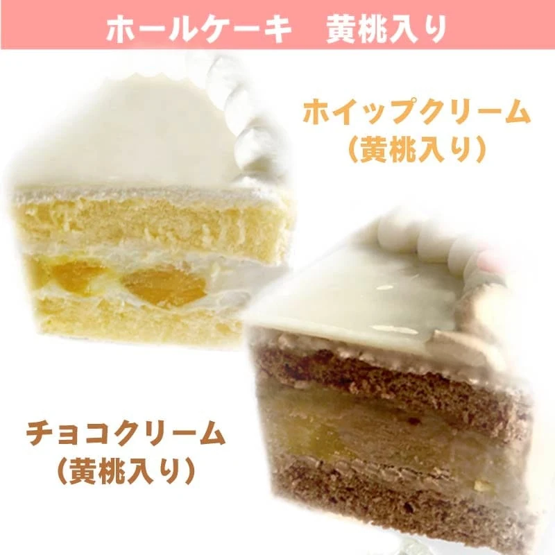 Miku Birthday Cake 5