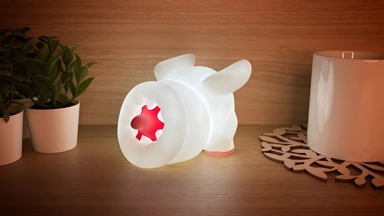 Monster Hunter Khezu room light 000