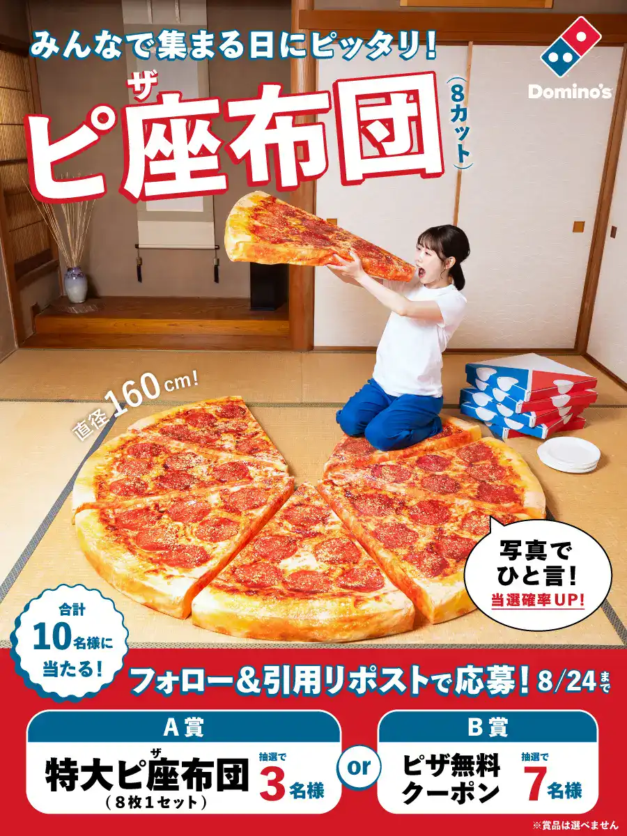 dominos pizza cushion 5