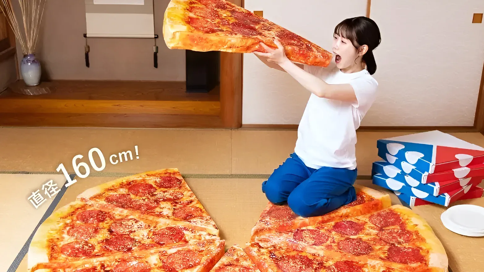 dominos pizza cushion 6