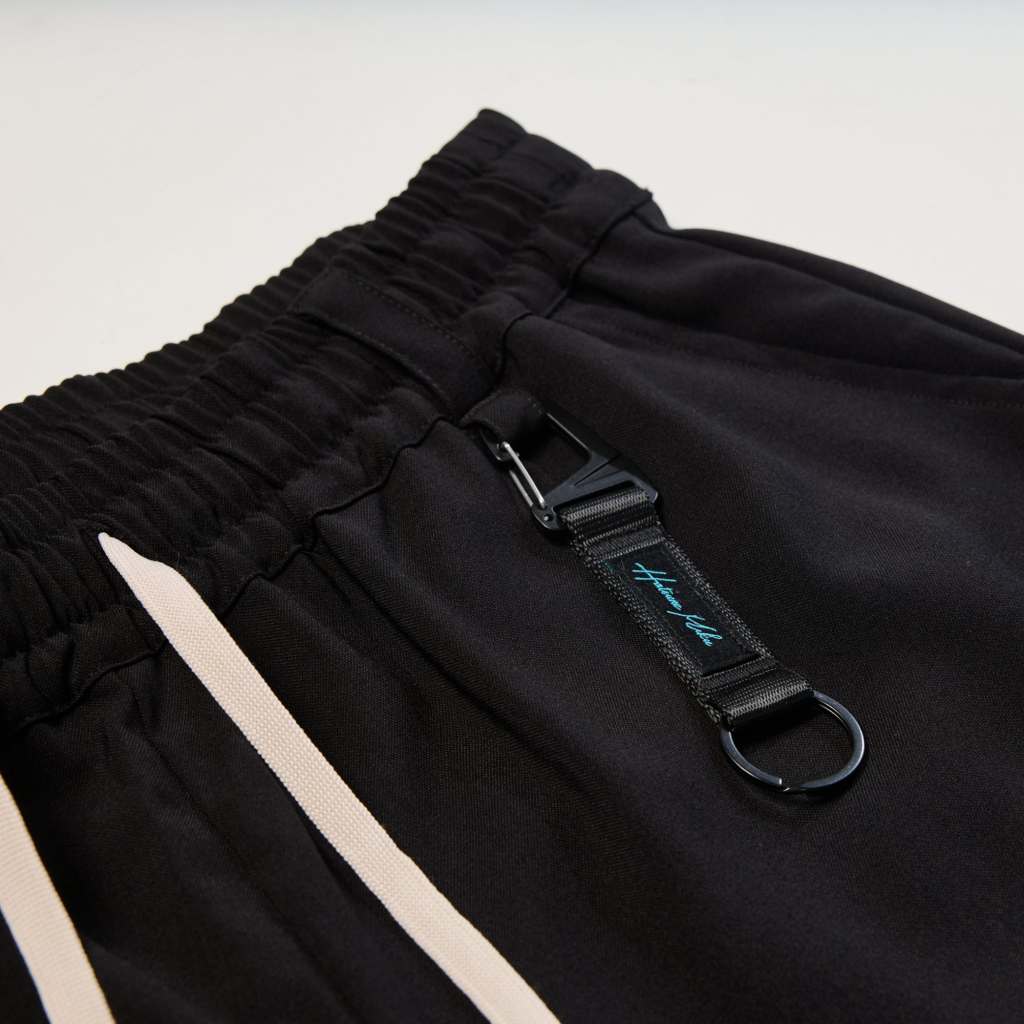 echo hatsune miku summer 25 10