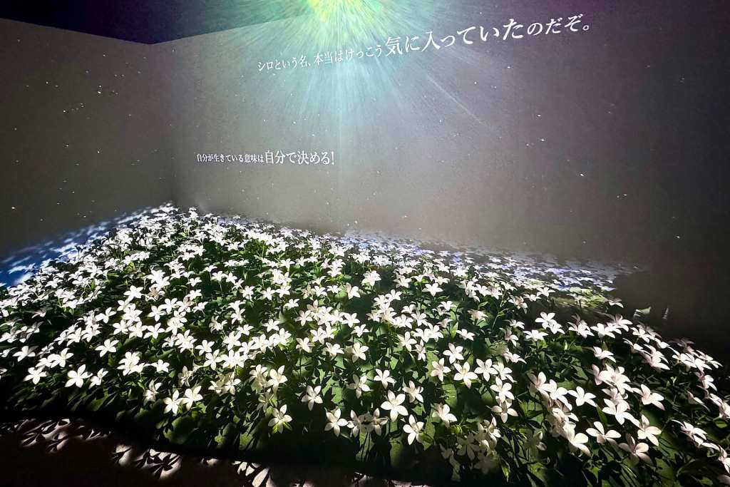 nier 15th exhibition photos 8