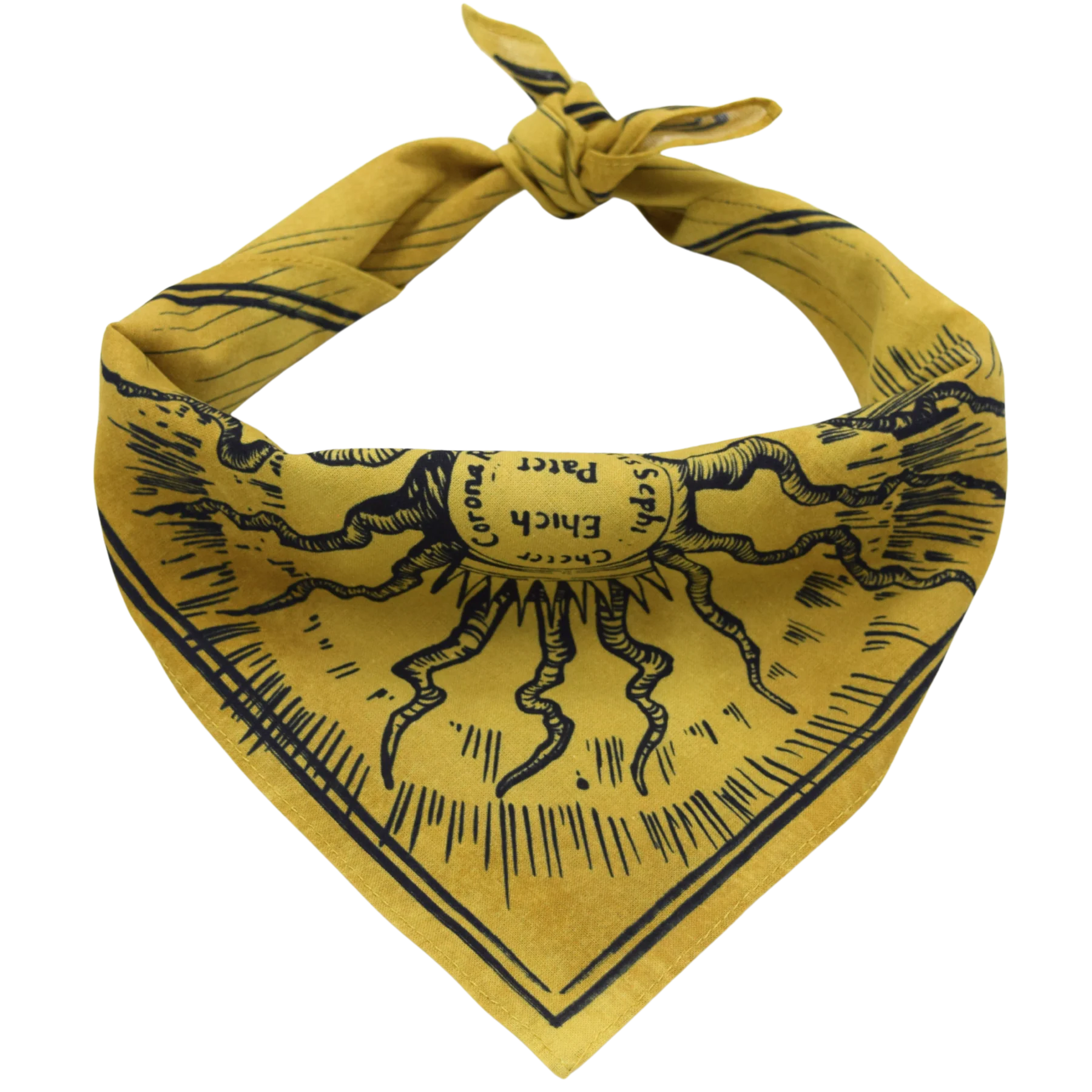 steady hands fullmetal alchemist Door of Truth Bandana 2