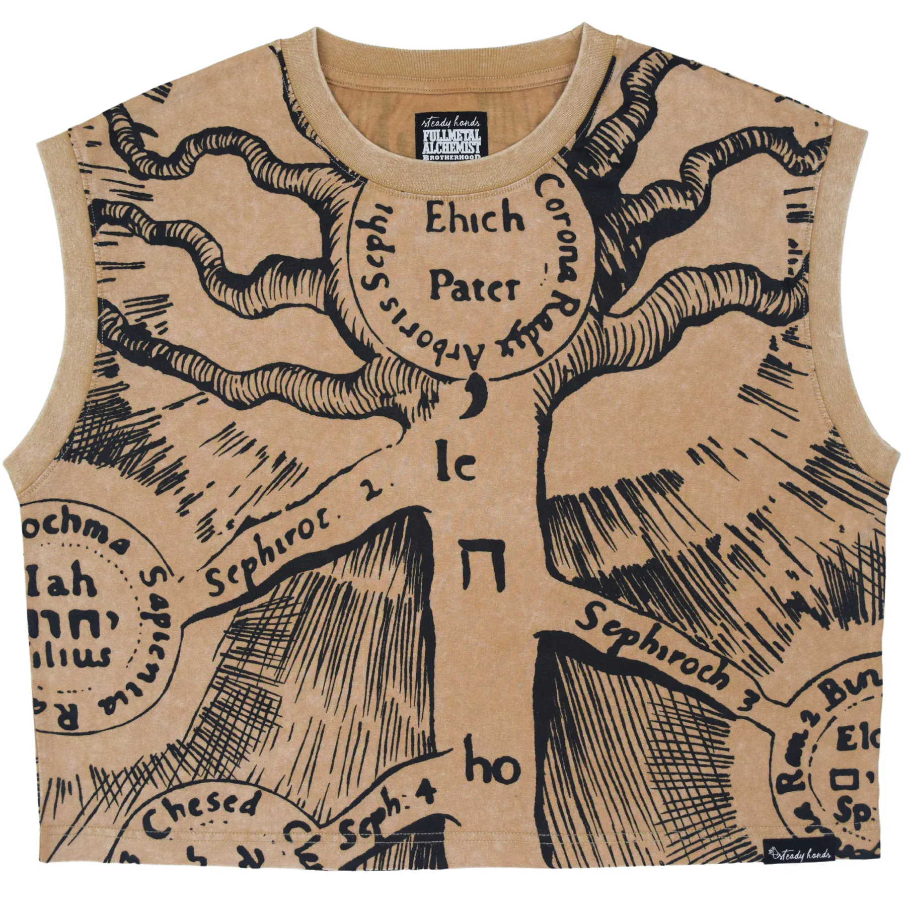 steady hands fullmetal alchemist Door of Truth Tank 1